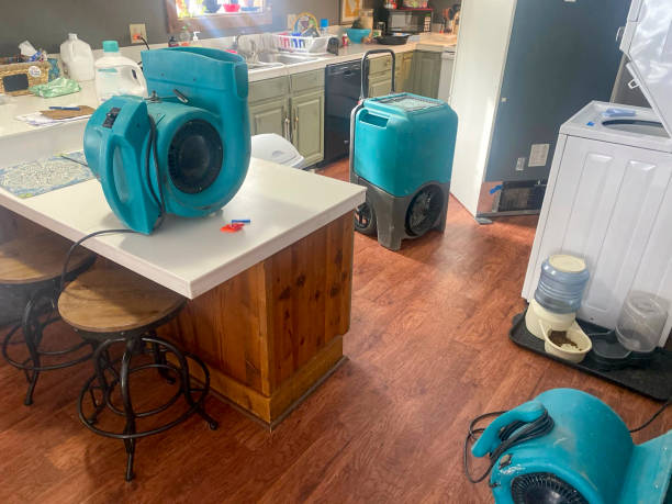 Norwood Young America, MN Water damage restoration Company