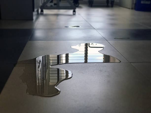 Best Water damage cleanup near me  in Norwood Young America, MN