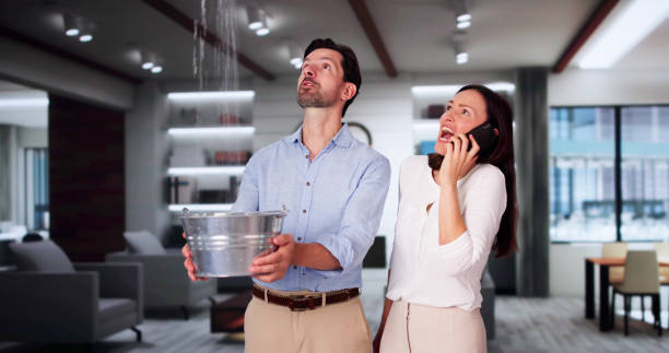  Norwood Young America, MN Water damage restoration Pros