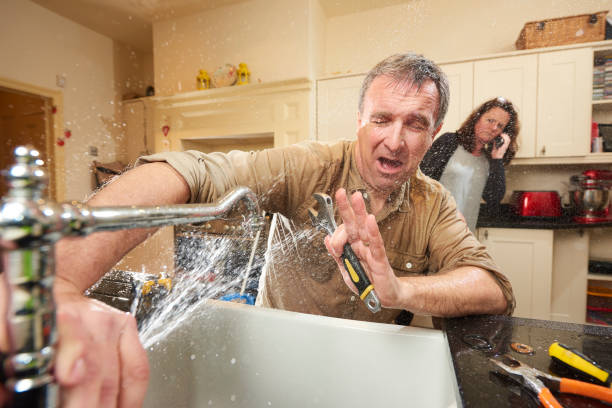 Best Water damage restoration near me  in Norwood Young America, MN